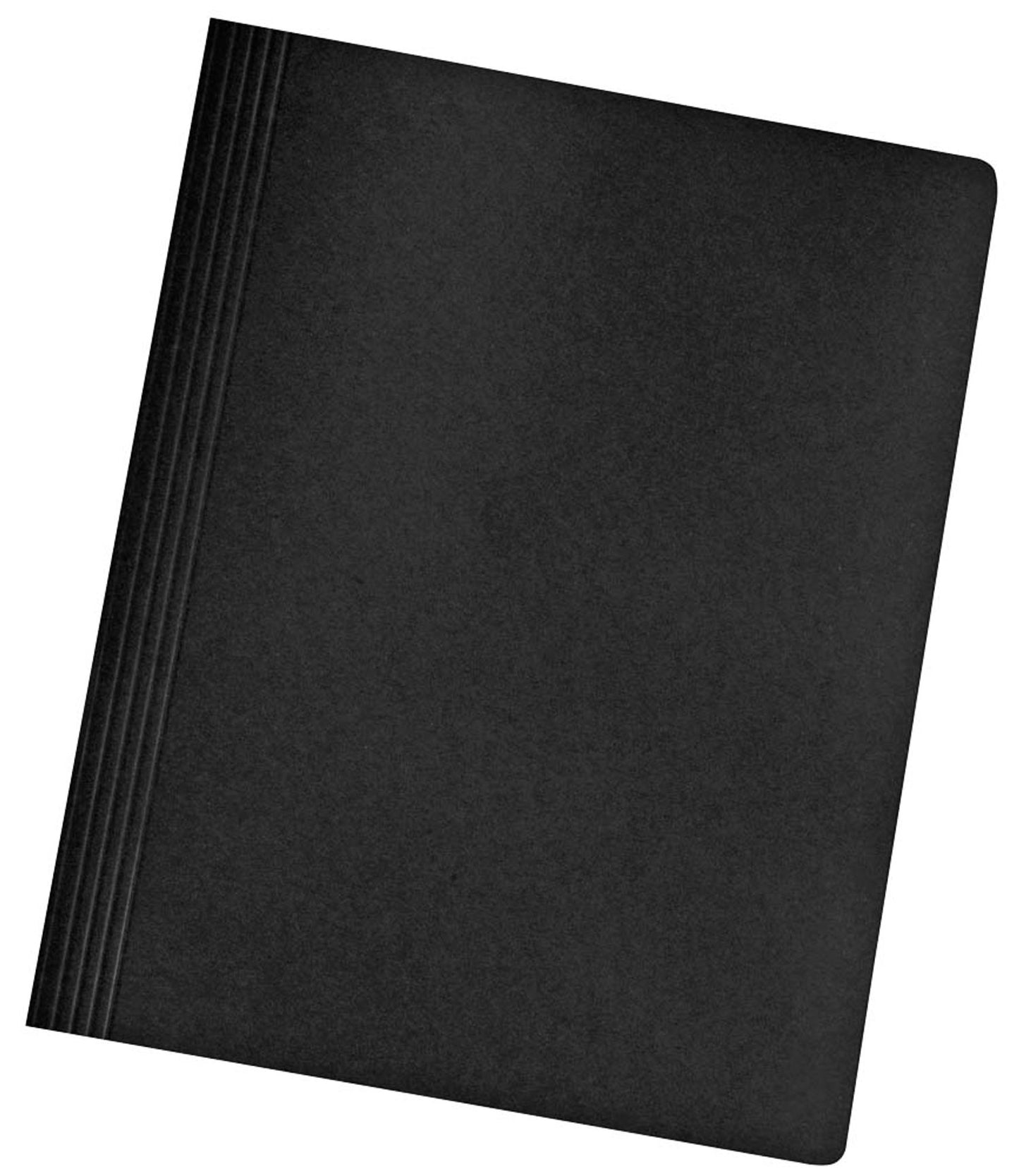 10 herlitz Schnellhefter Karton DIN A4,
