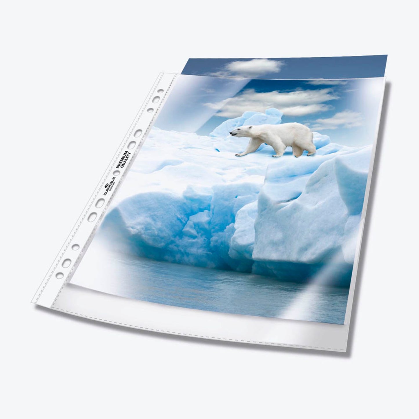 DURABLE Prospekthüllen DIN A4 transparent genarbt 0,08 mm | 268219 | 1 Pack = 50 St.