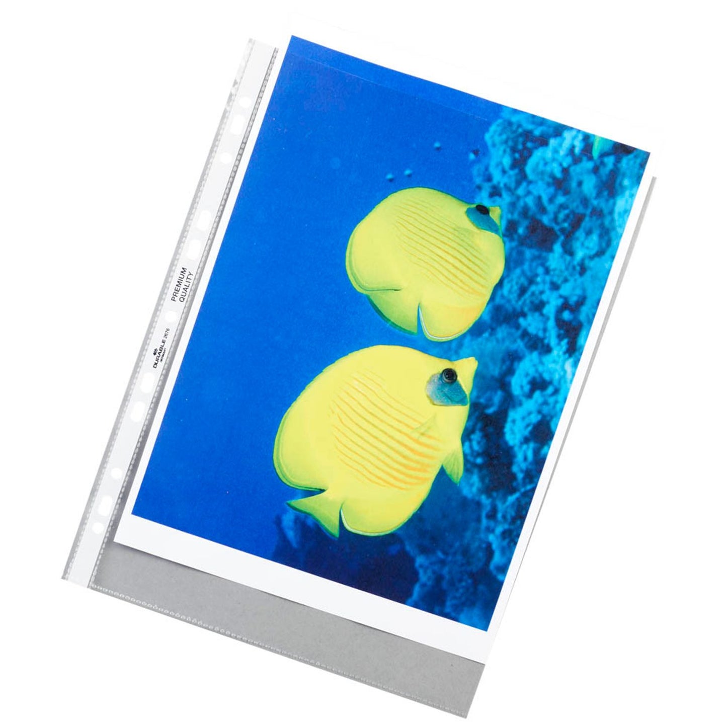 DURABLE Prospekthüllen DIN A4 glasklar glatt 0,08 mm | 267719 | 1 Pack = 50 St.