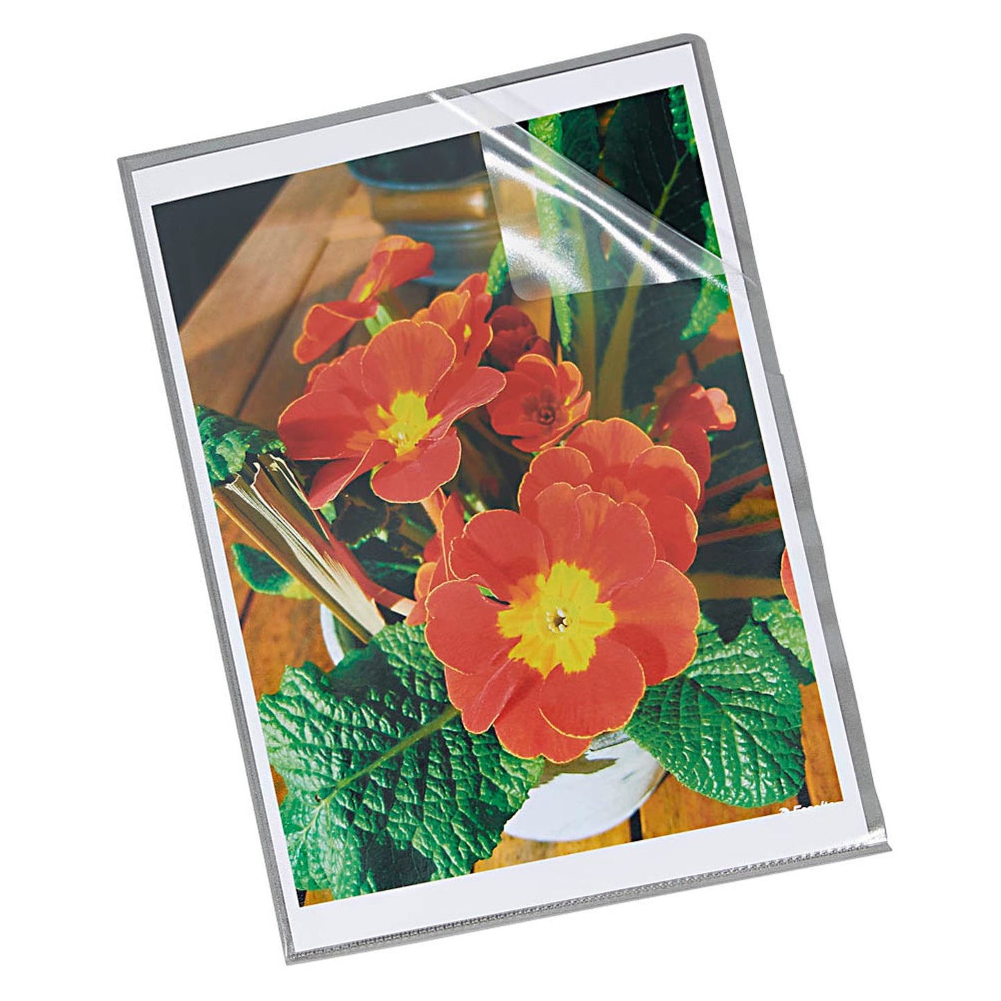 Esselte Sichthüllen DIN A4 transparent genarbt 0,12 mm | 23823 | 1 Pack = 100 St.
