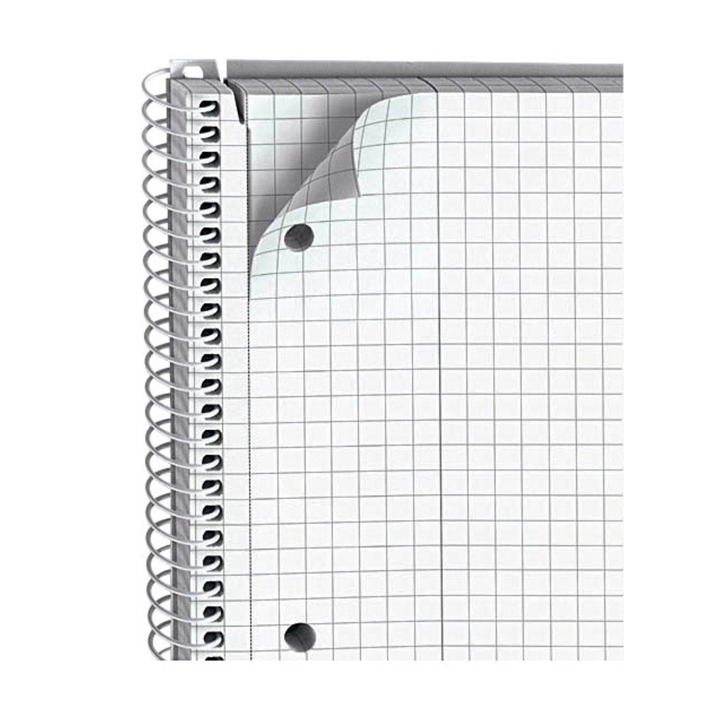 BRUNNEN Collegeblöcke Student kariert DIN A4 Innenrand | 1067942 | 1 Pack = 5 Blöcke