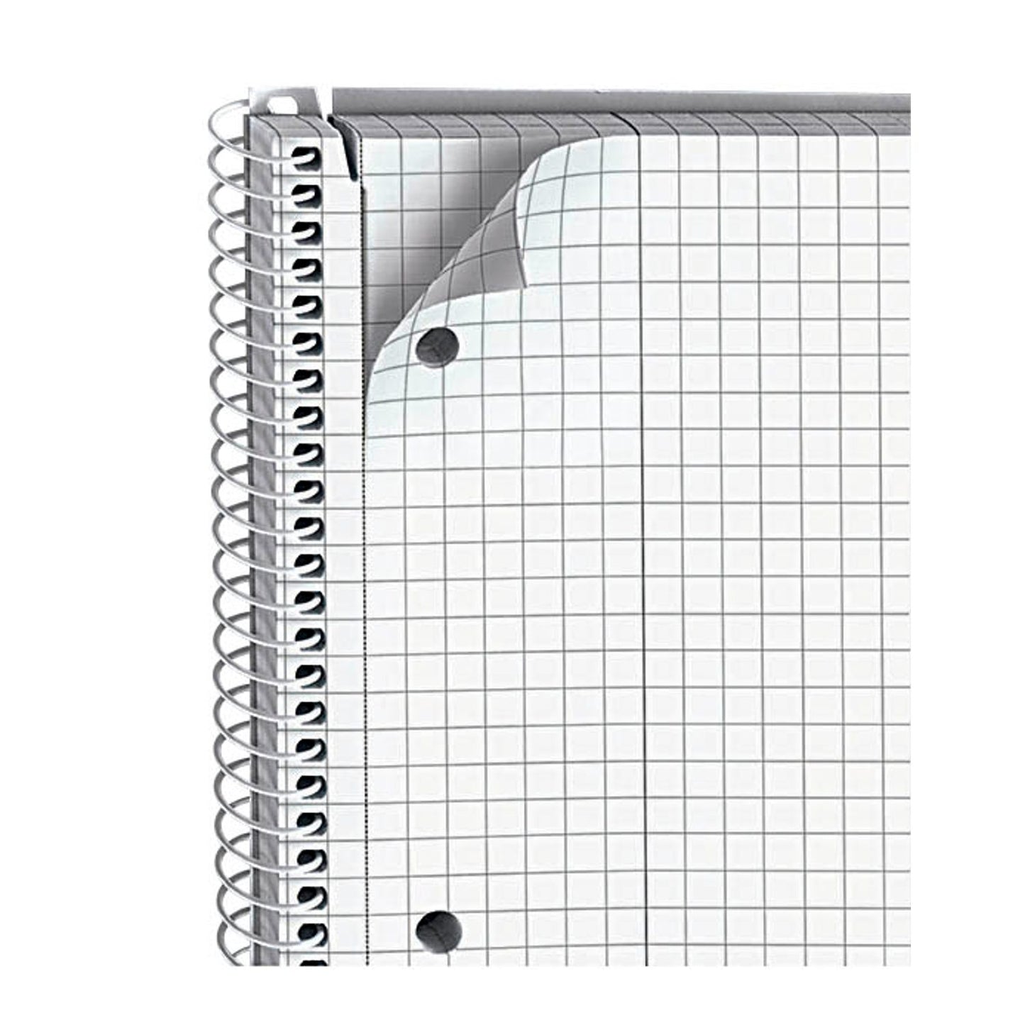 Staufen® Collegeblöcke green kariert DIN A4 ohne Rand | 608571020