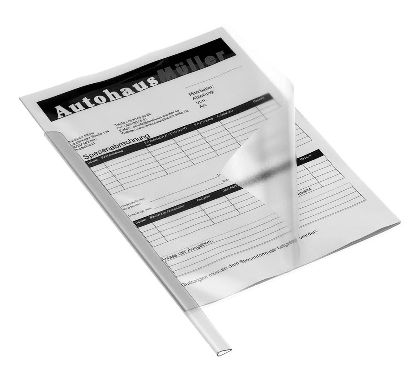50 DURABLE Klemmschienen DIN A4 30 Blatt