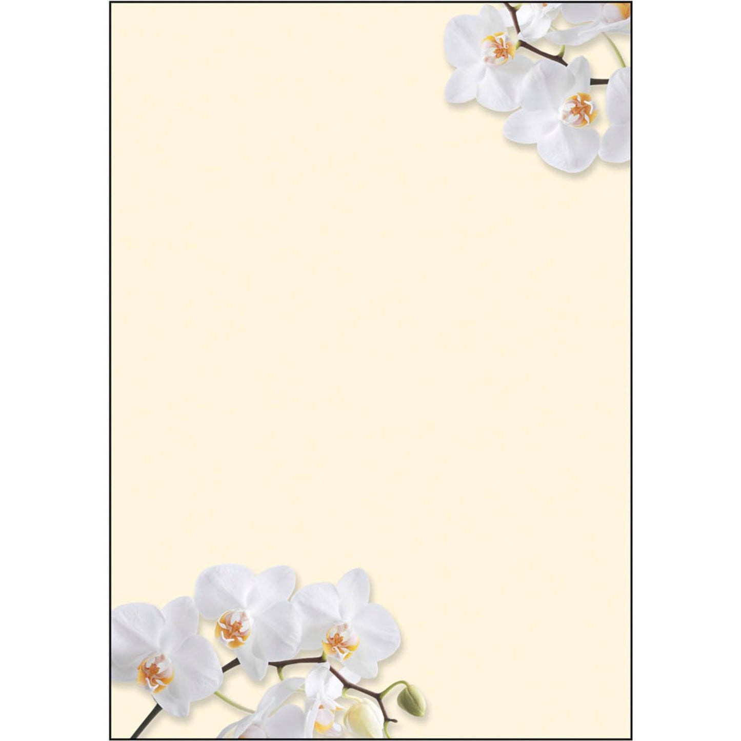 SIGEL Motivpapier White Orchid Motiv DIN A4 90 g/qm | DP904 | 1 Pack = 50 Blatt