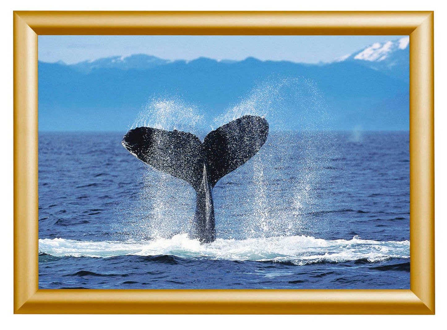 Showdown® Displays  Klapprahmen gold