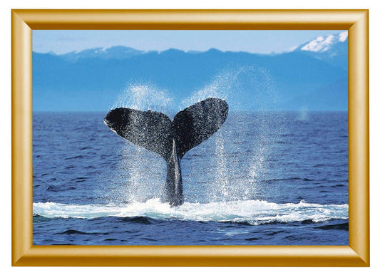 Showdown® Displays  Klapprahmen gold