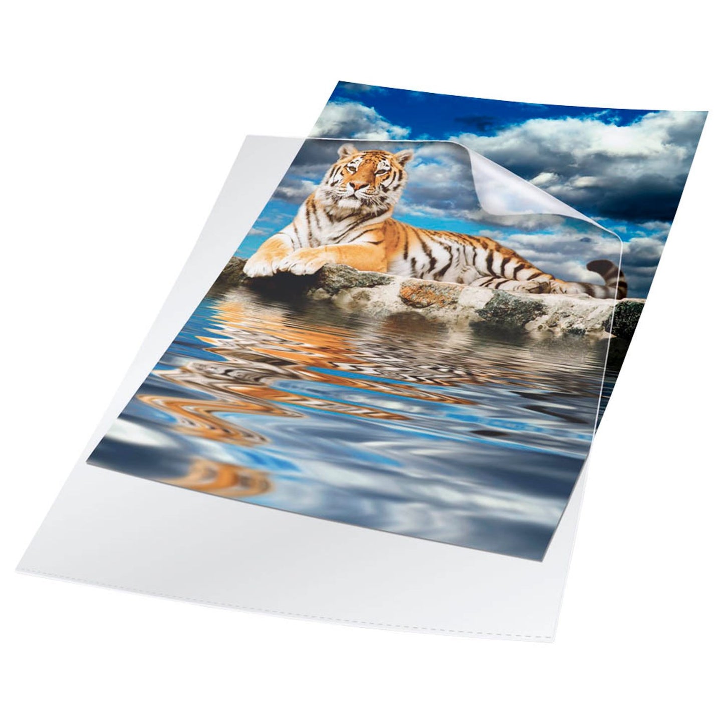 DURABLE Sichthüllen DIN A4 transparent glatt 0,15 mm | 233919 | 1 Pack = 50 St.
