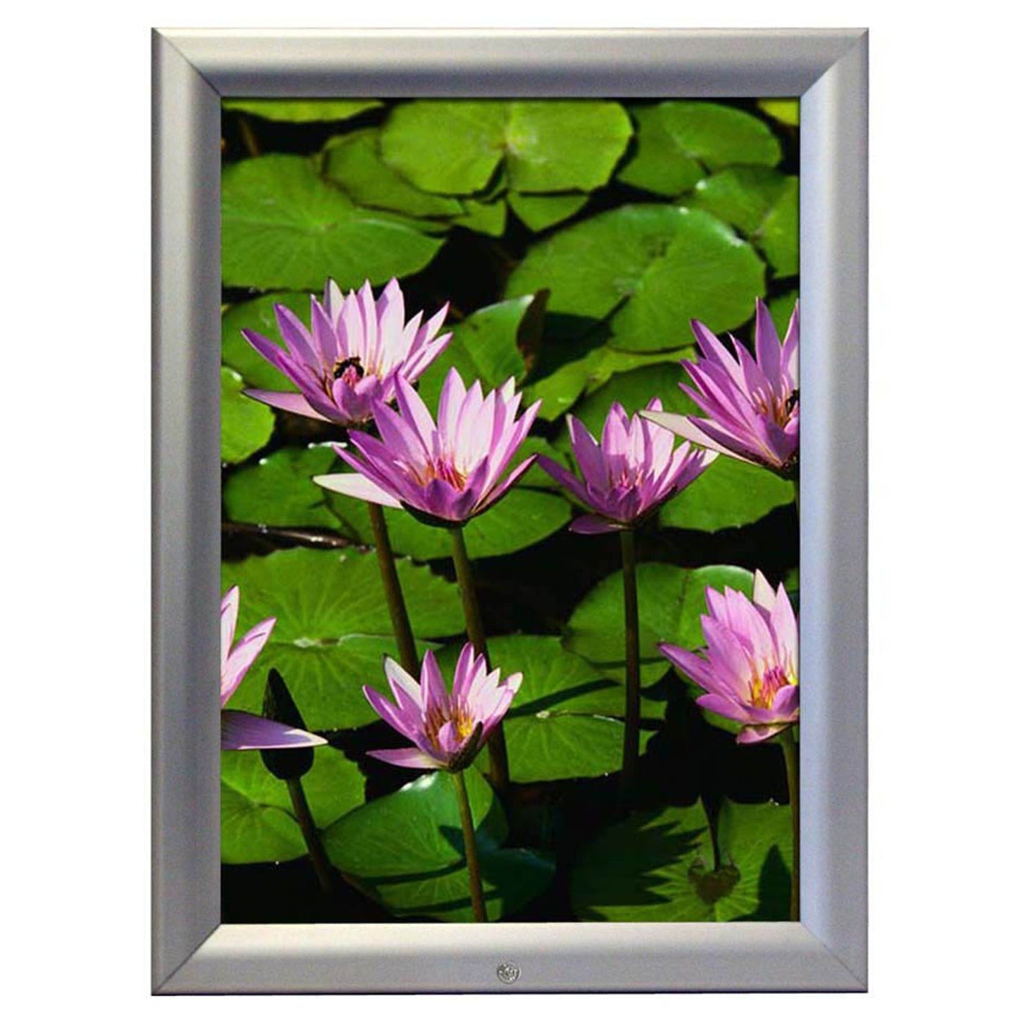 update displays Klapprahmen silber 91,0 x 127,0 cm | UCH255N0A0X2950