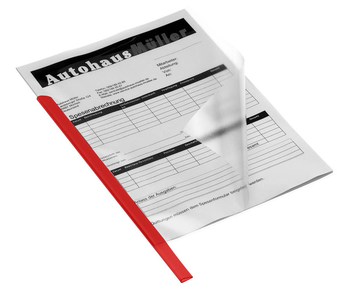 50 DURABLE Klemmschienen DIN A4 30 Blatt