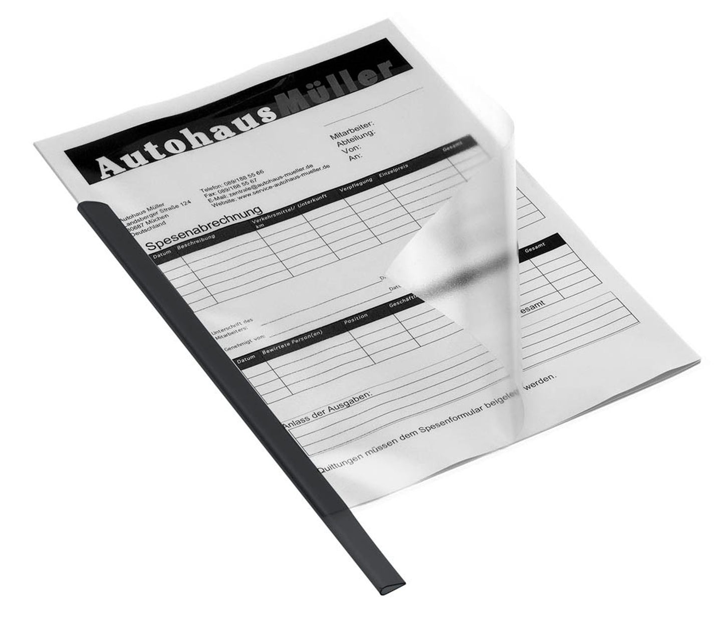 50 DURABLE Klemmschienen DIN A4 30 Blatt