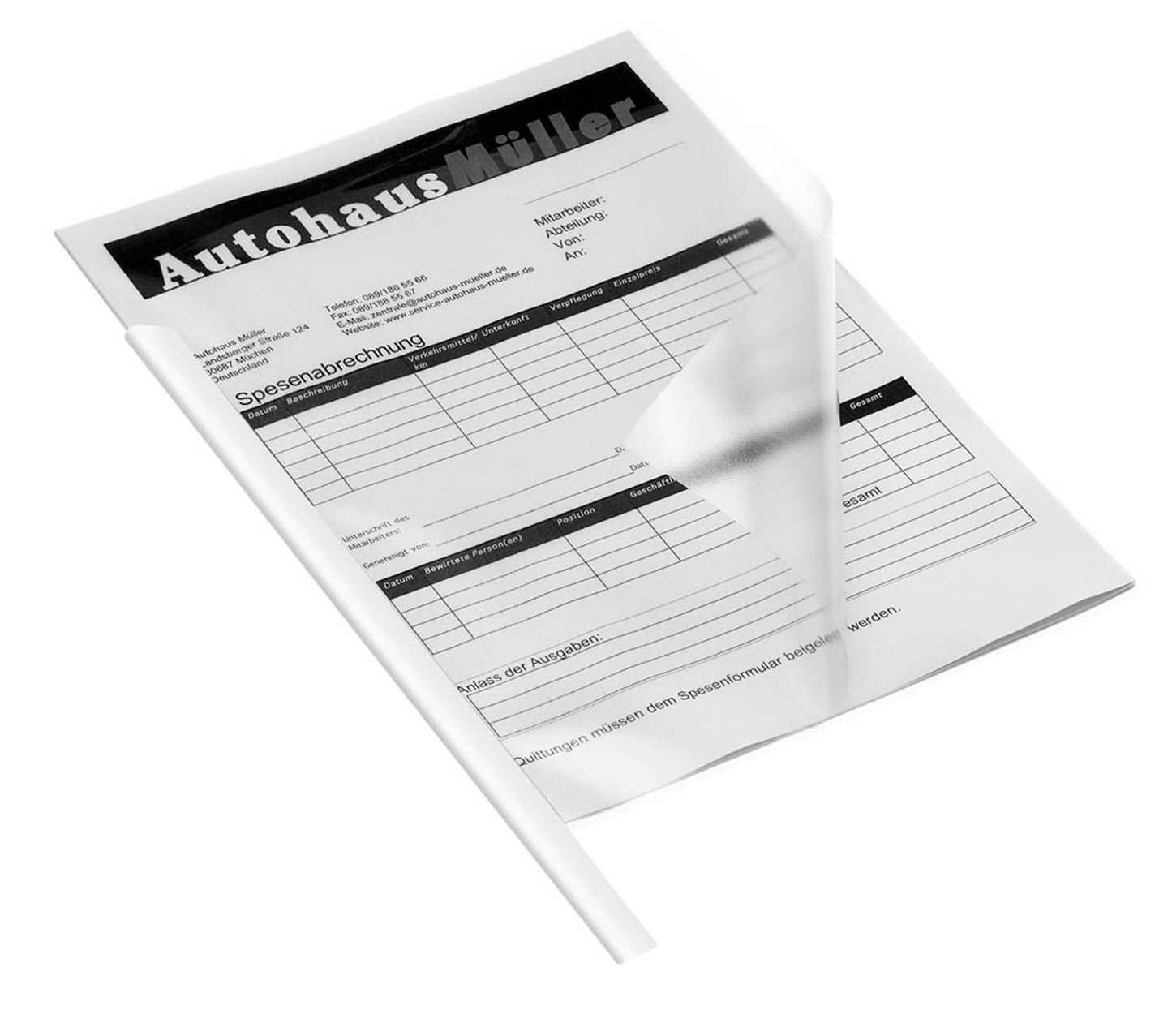 50 DURABLE Klemmschienen DIN A4 30 Blatt
