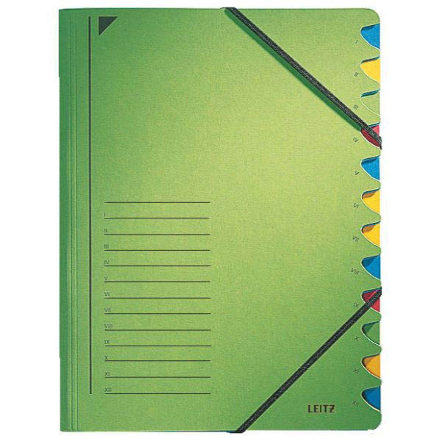 LEITZ Ordnungsmappe 3912 12 Fächer grün | 3912-00-55