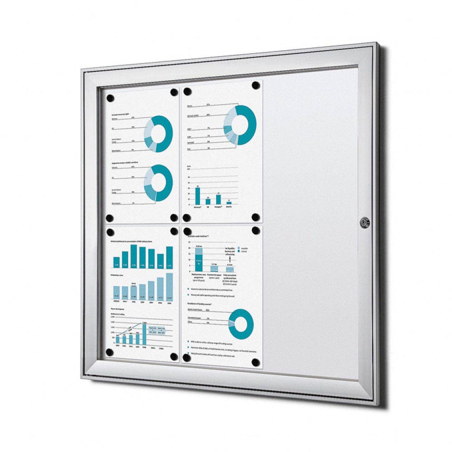 Showdown® Displays Schaukasten S B1 alu DIN A4,