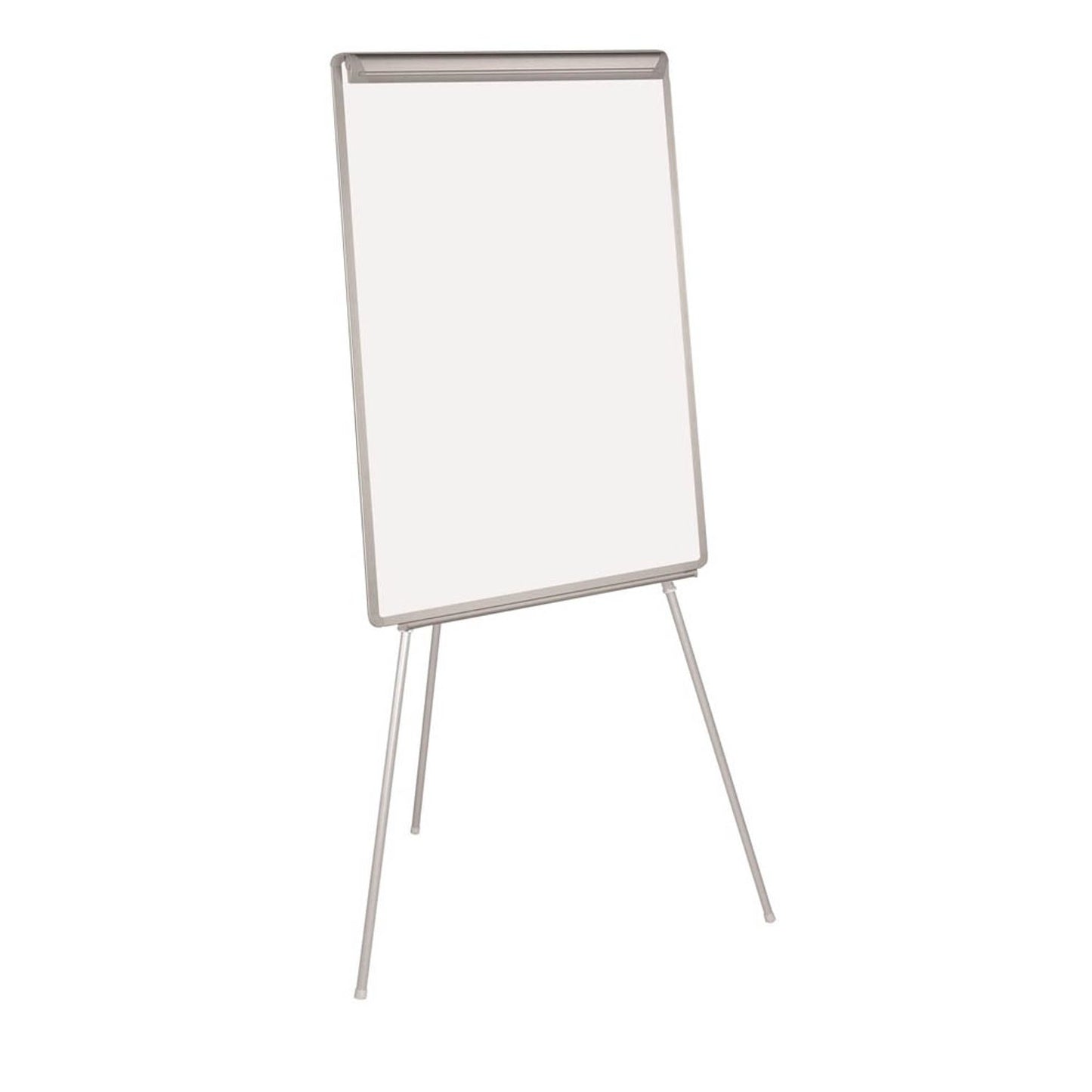 Bi-Office Earth Flipchart EARTH | EA2306995