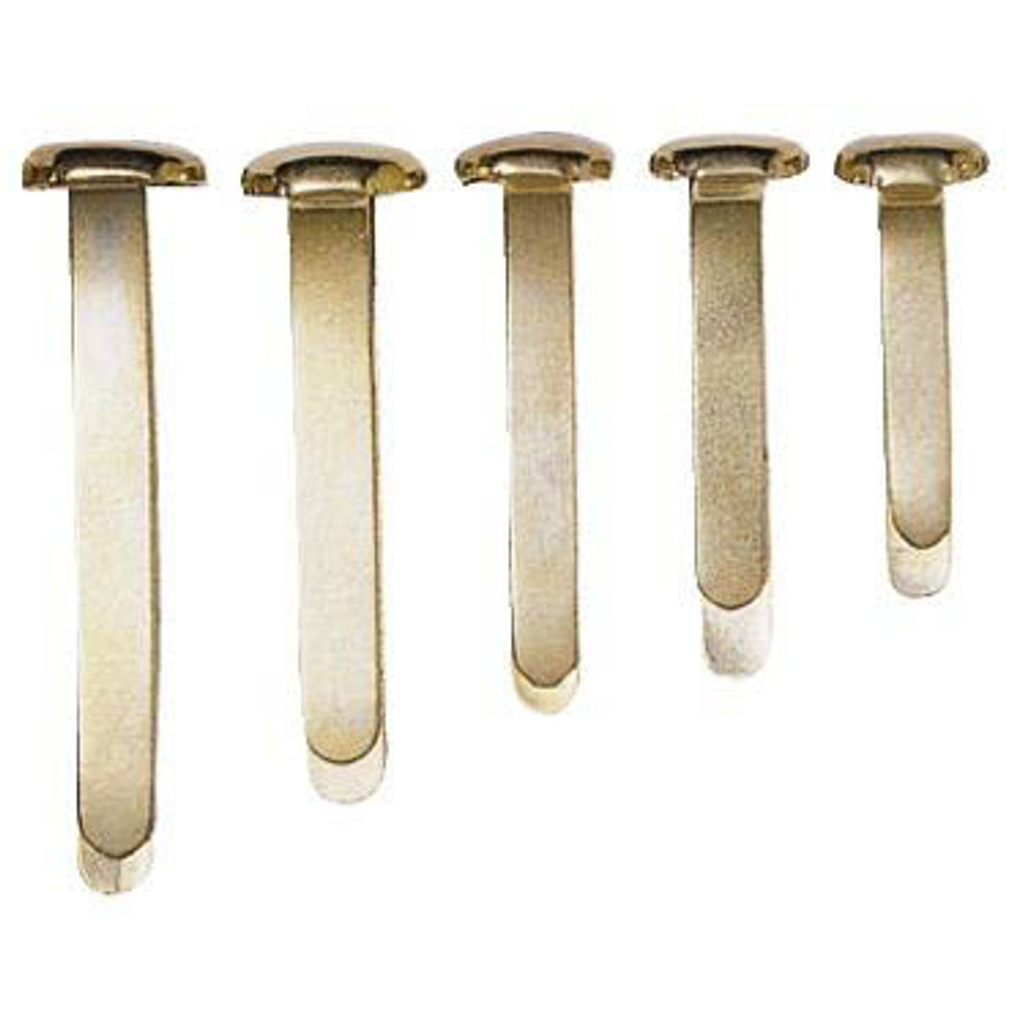 ALCO Musterbeutelklammern Rundkopf | 330 | 1 Pack = 1.000 St.