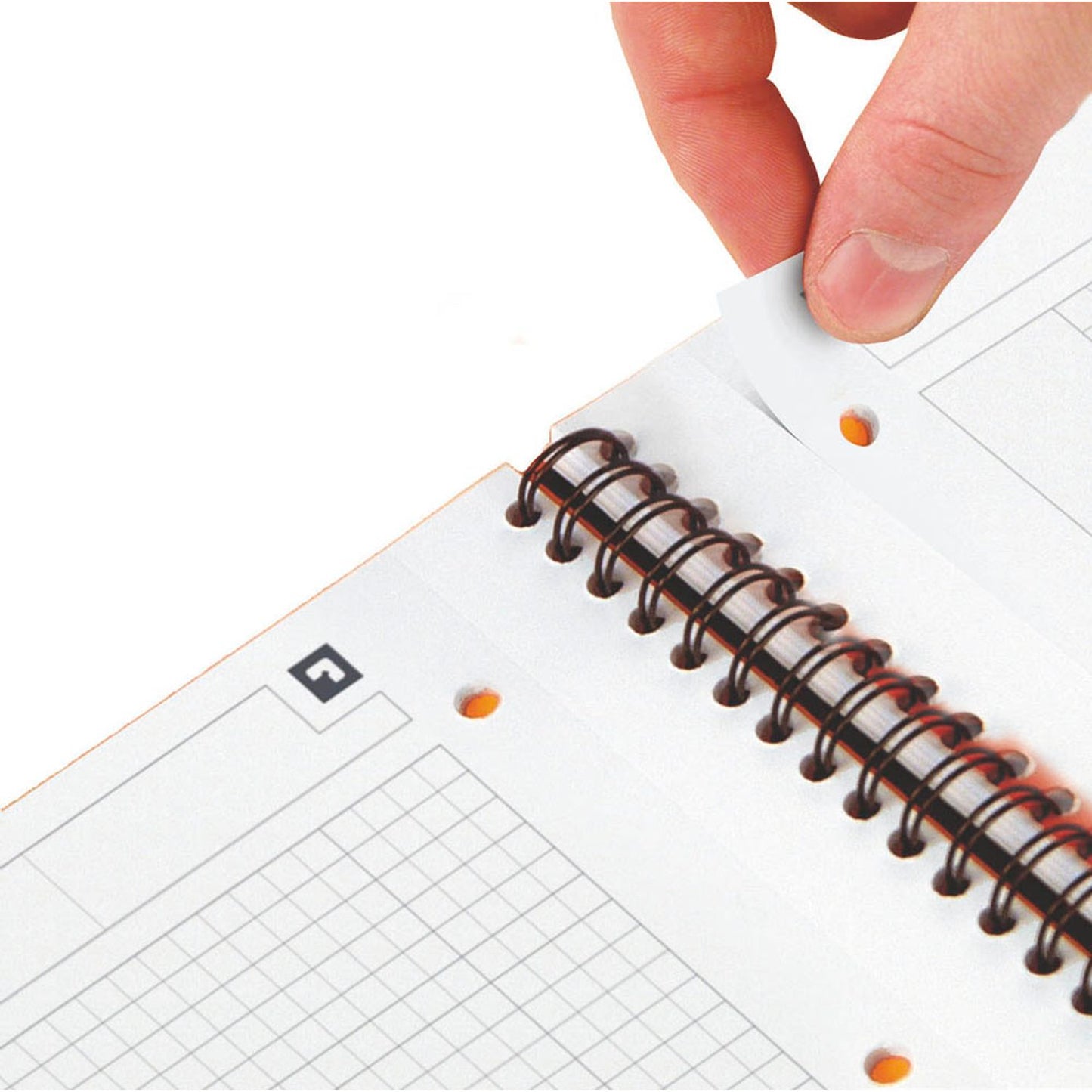 OXFORD Collegeblock Notebook kariert DIN A4 Rand rundum | 100103664