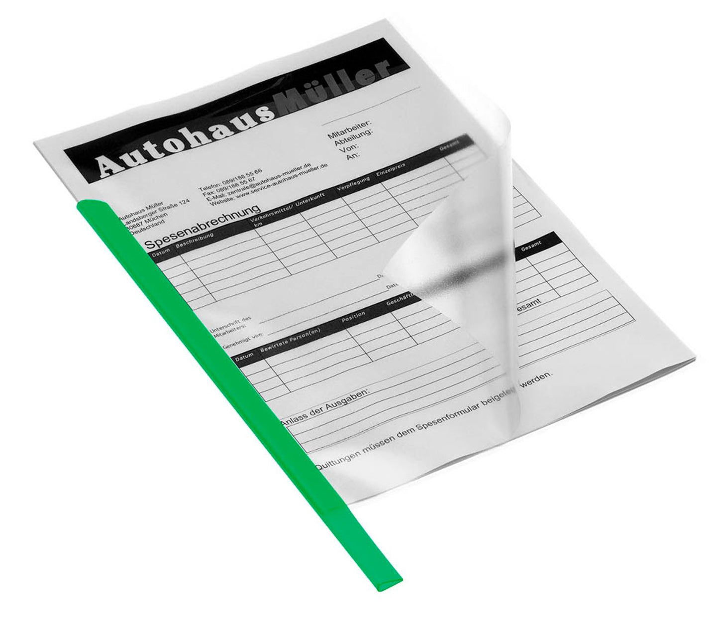 50 DURABLE Klemmschienen DIN A4 60 Blatt