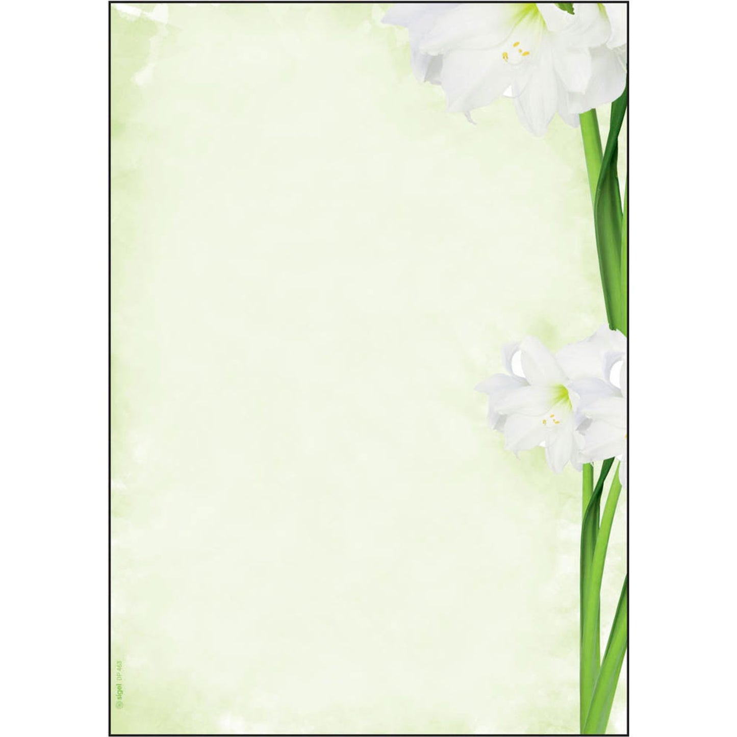 SIGEL Motivpapier Green Flower Motiv DIN A4 90 g/qm | DP463 | 1 Pack = 25 Blatt