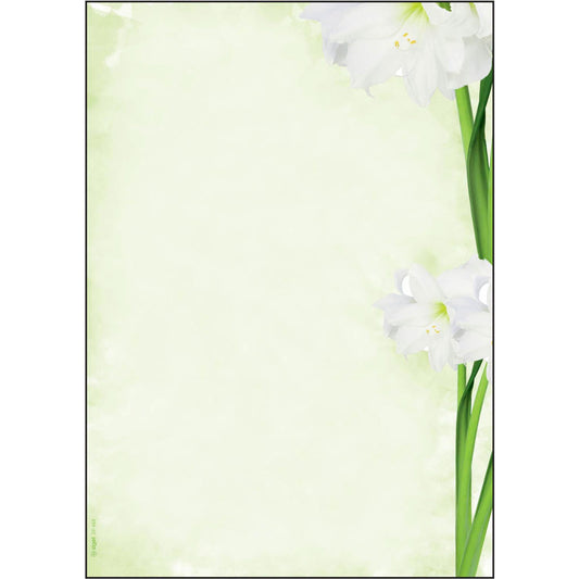 SIGEL Motivpapier Green Flower Motiv DIN A4 90 g/qm | DP463 | 1 Pack = 25 Blatt