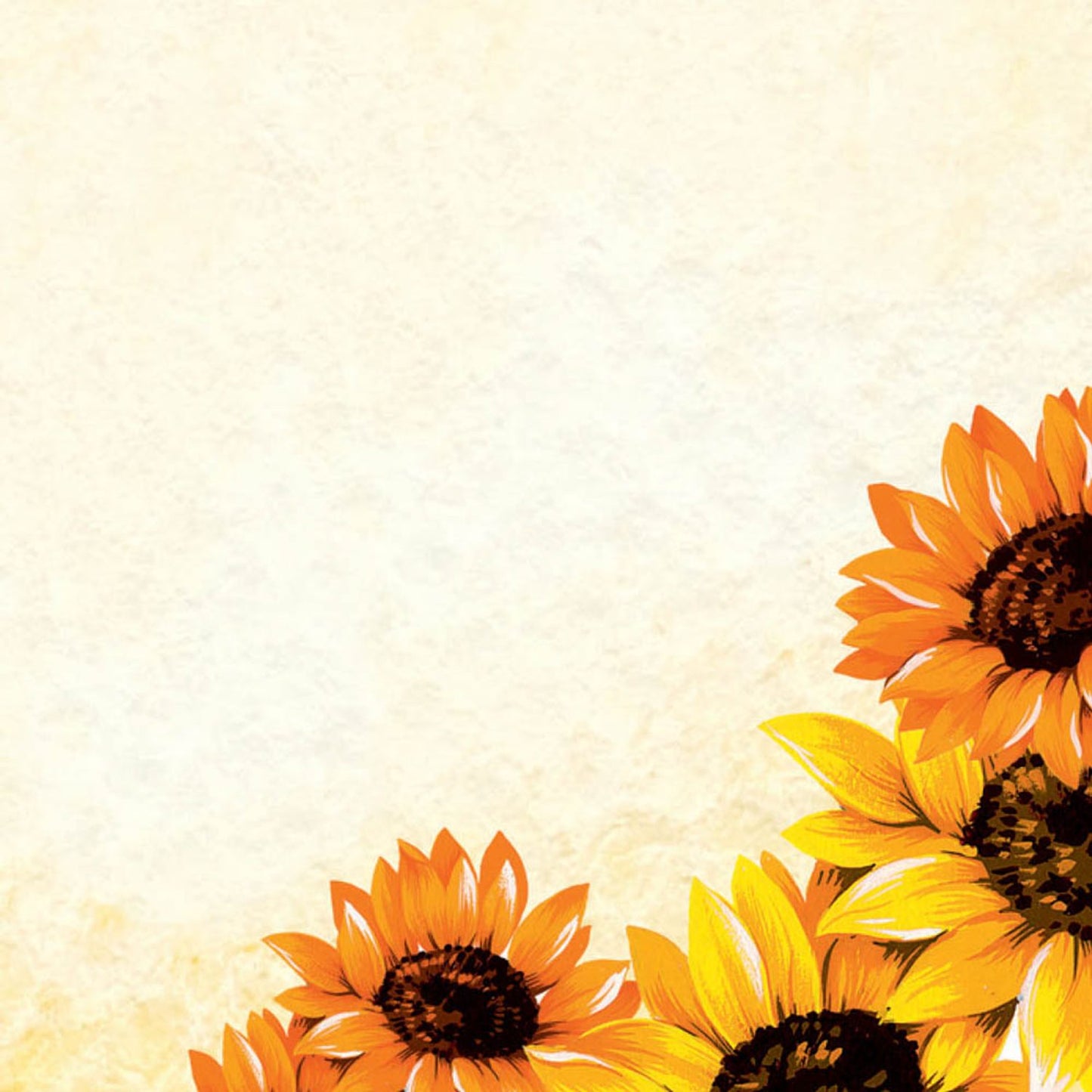 SIGEL Motivpapier Field of Sun Motiv DIN A4 90 g/qm | DP129 | 1 Pack = 50 Blatt