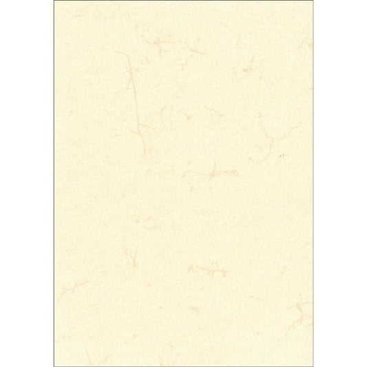 RNK-Verlag Motivpapier Elefantenhaut chamois DIN A3 190 g/qm | 2859 | 1 Pack = 10 Blatt