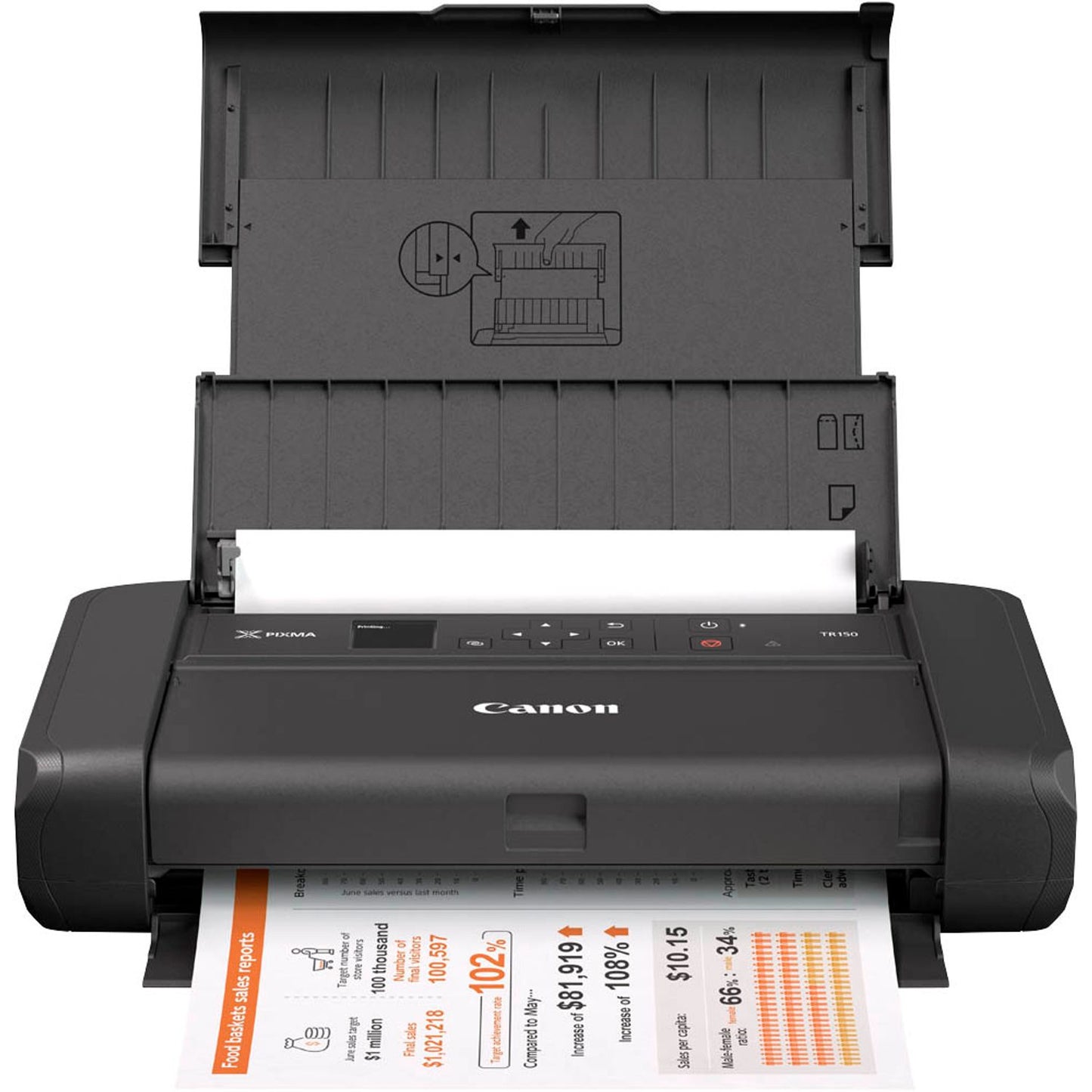 Canon PIXMA TR150 mit Akku Tintenstrahldrucker schwarz | 4167C026