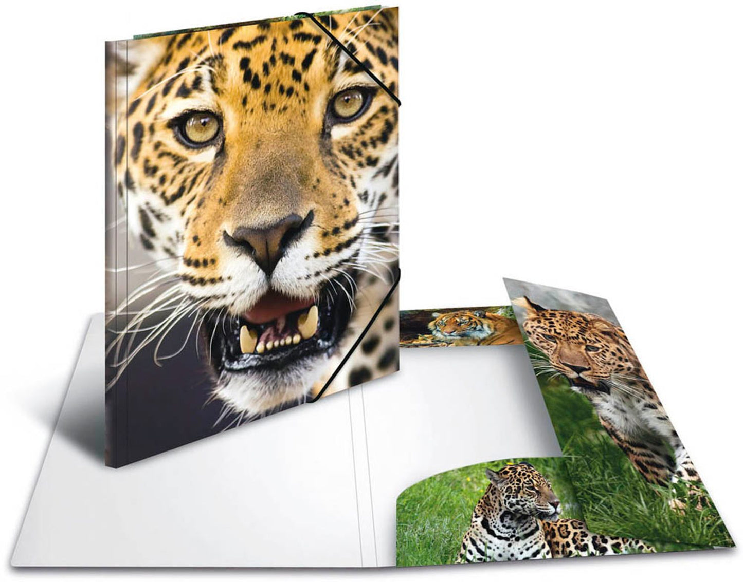 3 HERMA Sammelmappen DIN A4,