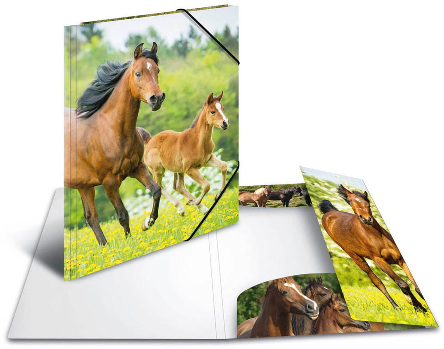 3 HERMA Sammelmappen DIN A4,