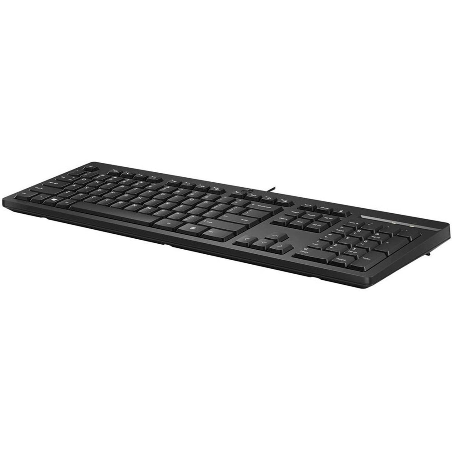 HP 125 Tastatur kabelgebunden schwarz | 266C9AA#ABD