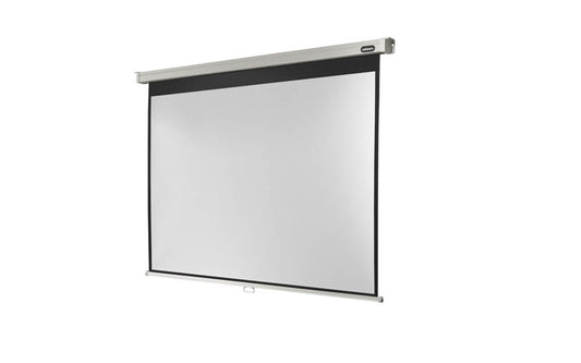 celexon Rolloleinwand Professional 4:3,