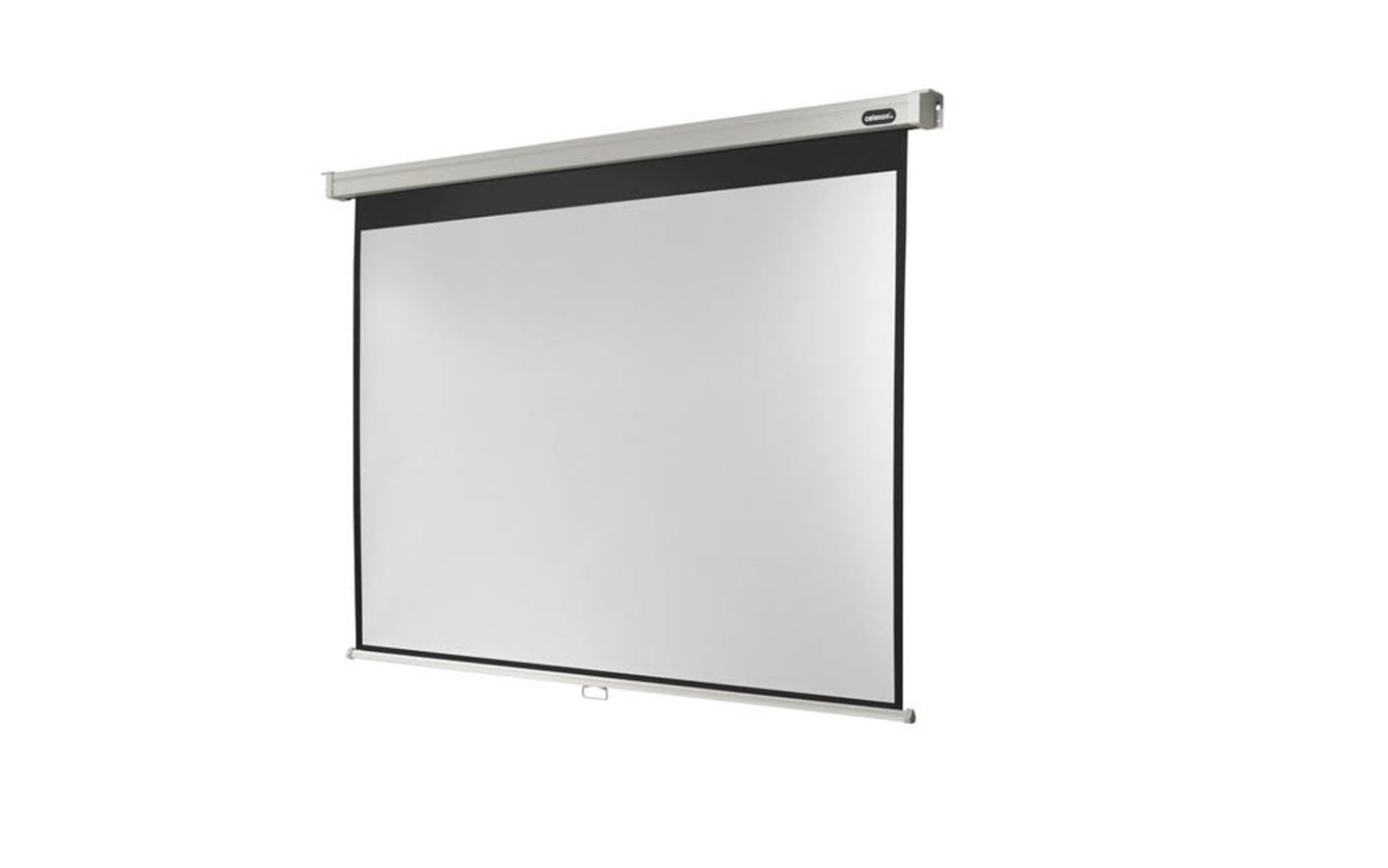 celexon Rolloleinwand Professional 4:3,