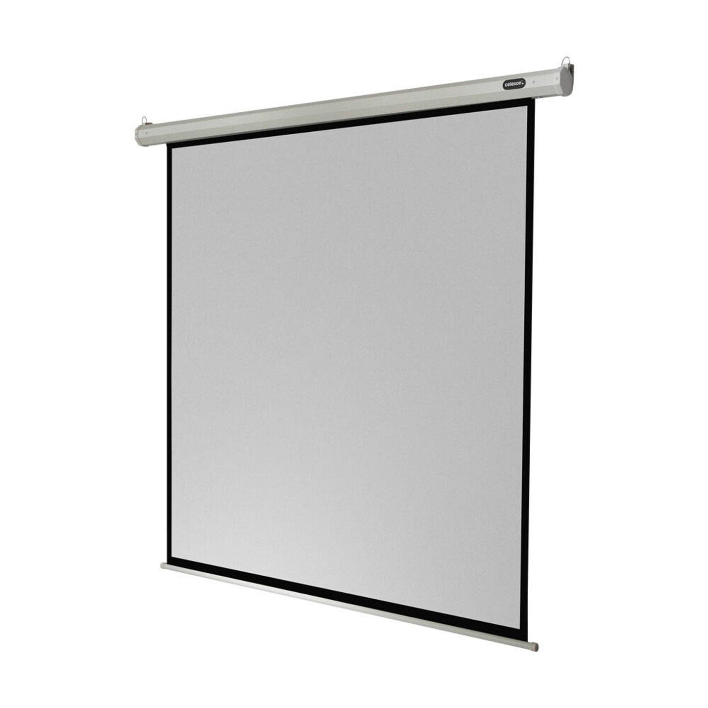 celexon elektrische Rolloleinwand Economy Motor 1:1,