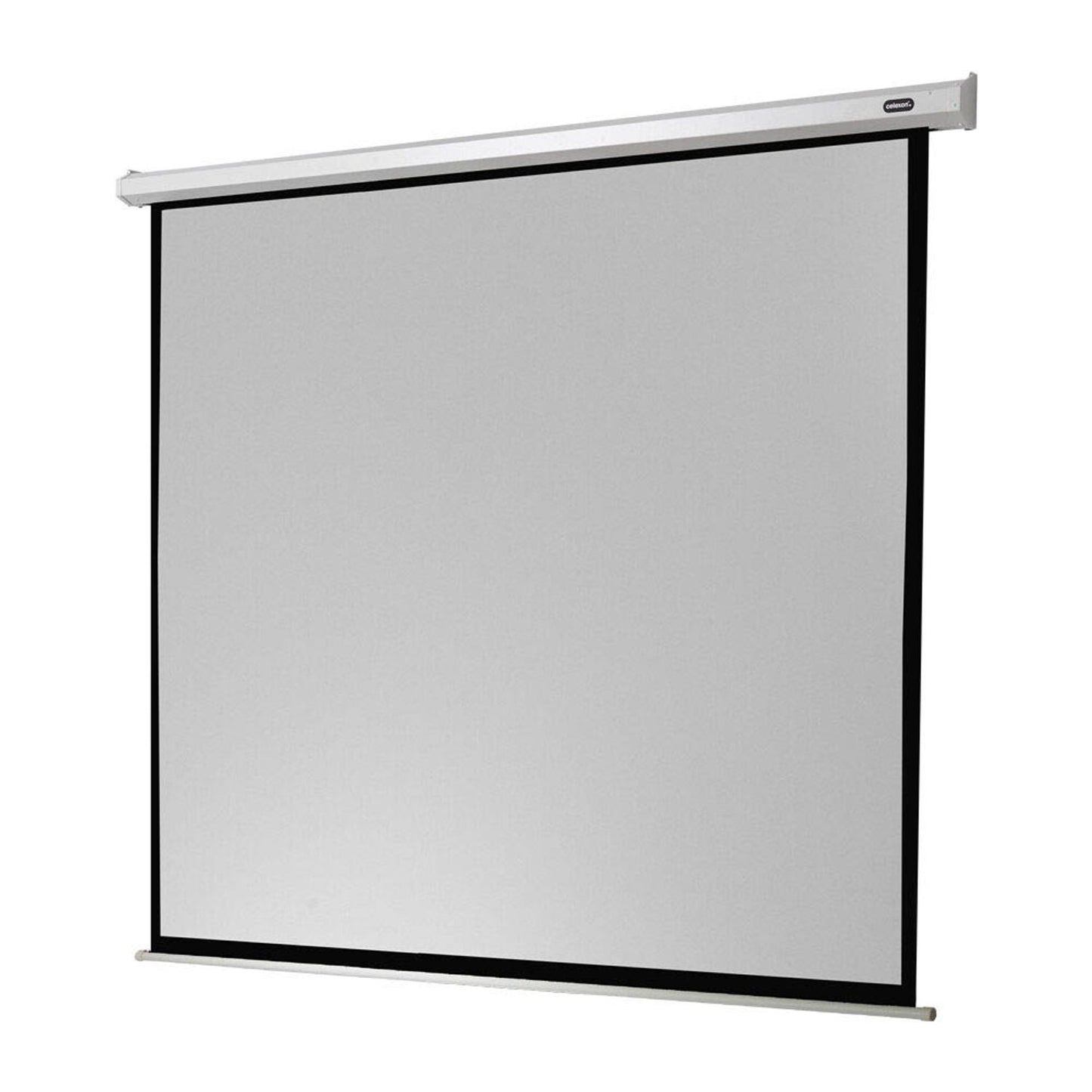 celexon elektrische Rolloleinwand Economy Motor 1:1,