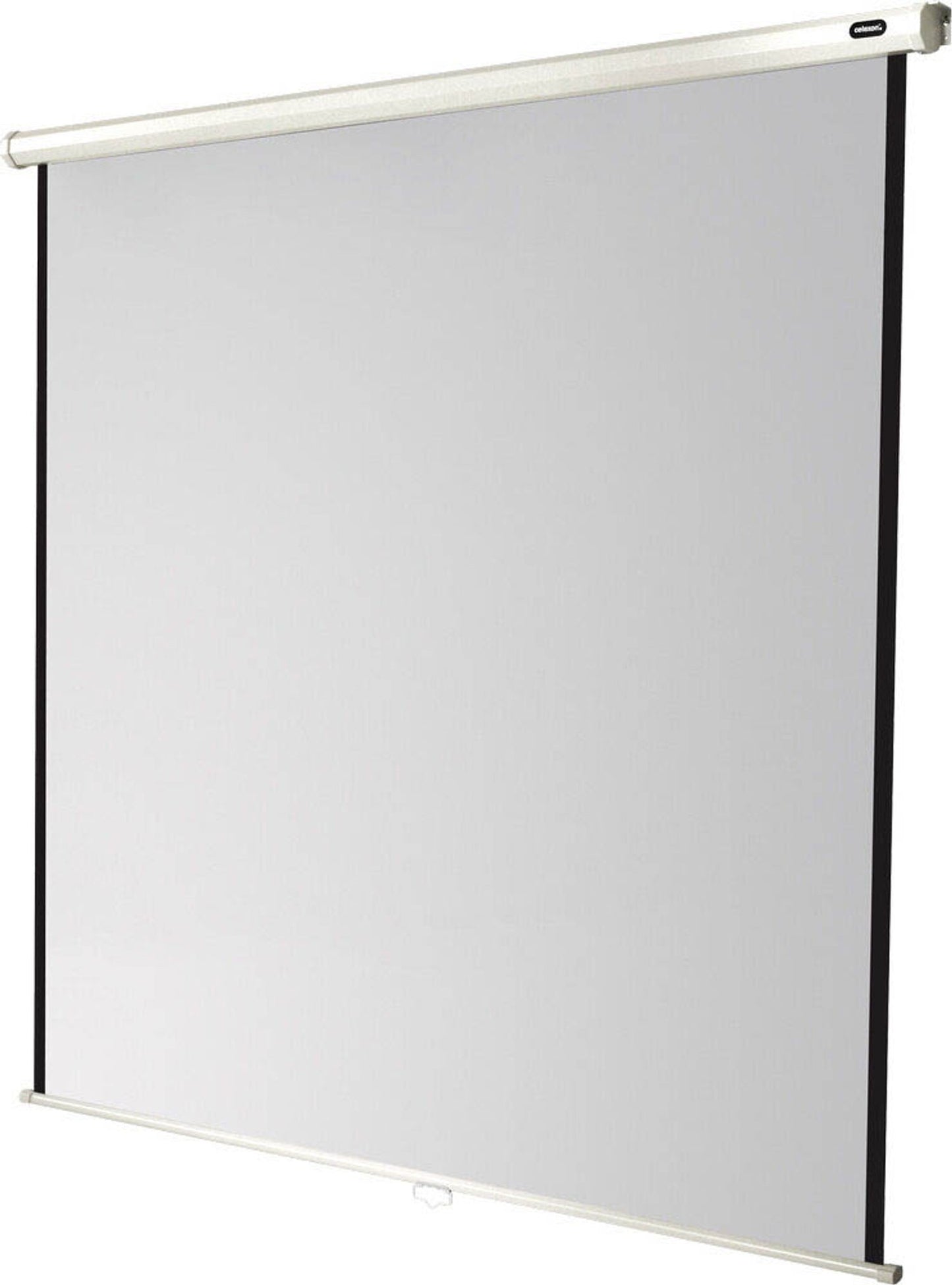 celexon Rolloleinwand Economy 1:1,