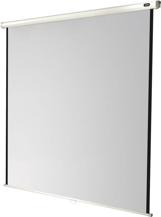 celexon Rolloleinwand Economy 1:1,