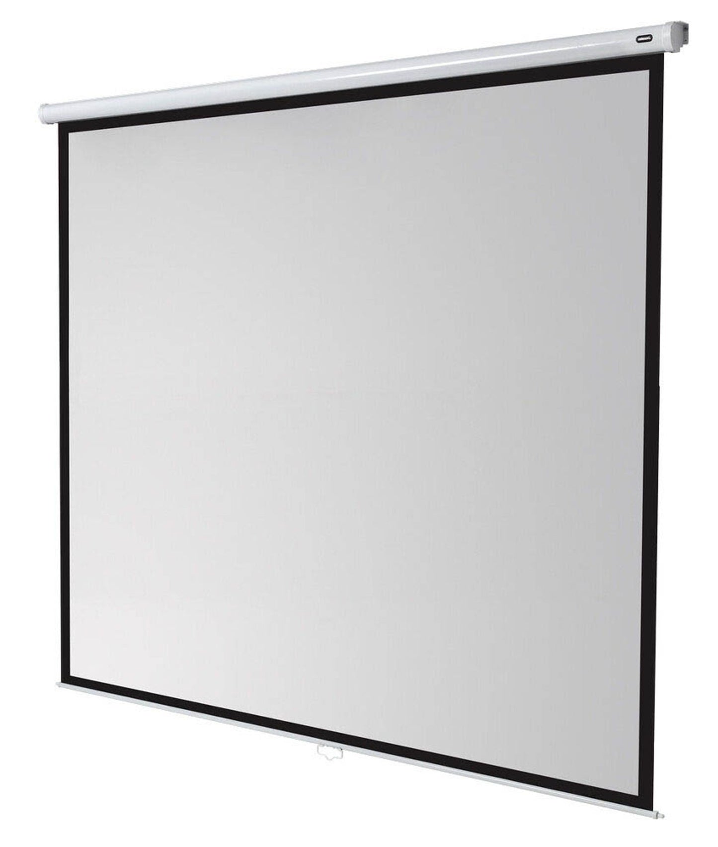 celexon Rolloleinwand Economy 1:1,