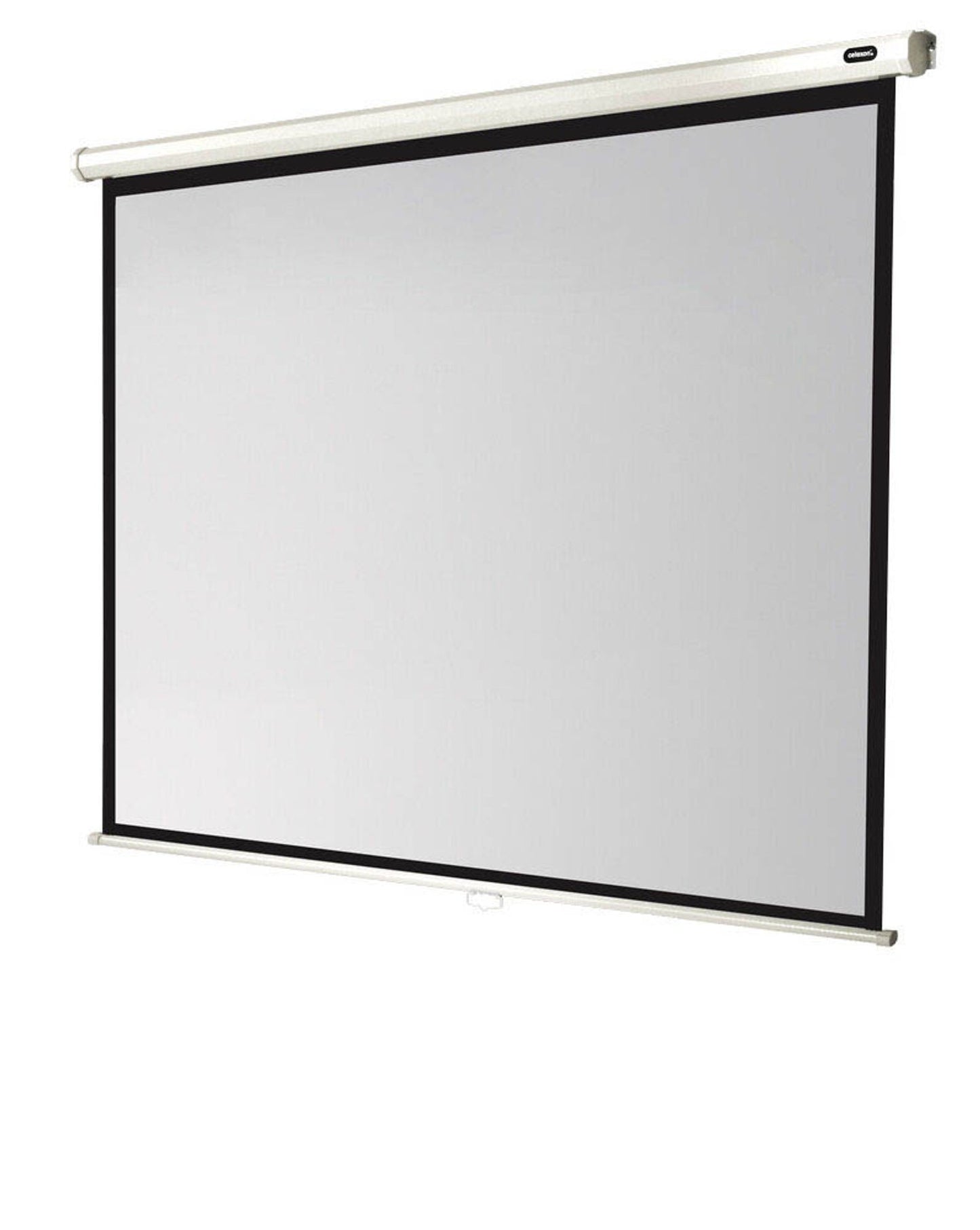 celexon Rolloleinwand Economy 4:3,