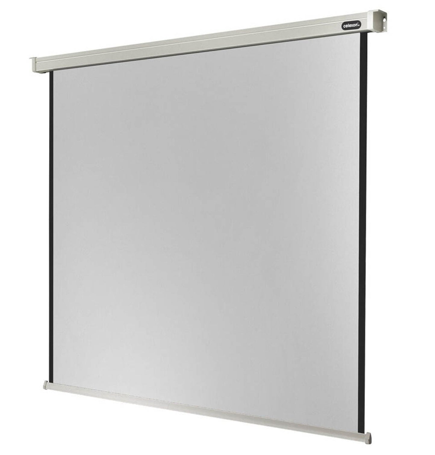 celexon elektrische Rolloleinwand Professional Motor 1:1,
