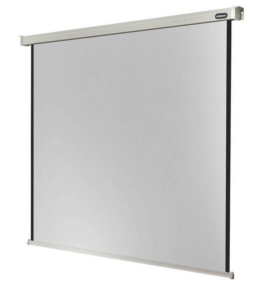 celexon elektrische Rolloleinwand Professional Motor 1:1,