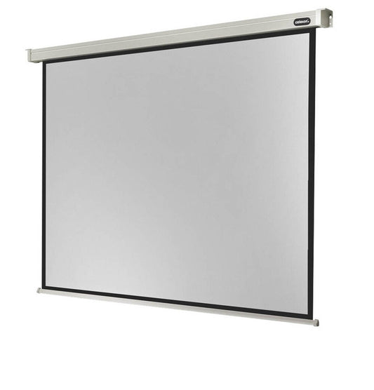 celexon elektrische Rolloleinwand Professional Motor 4:3,