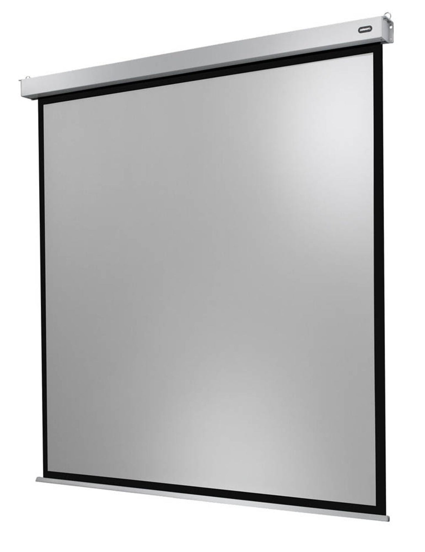 celexon elektrische Rolloleinwand Motor Professional Plus 1:1,