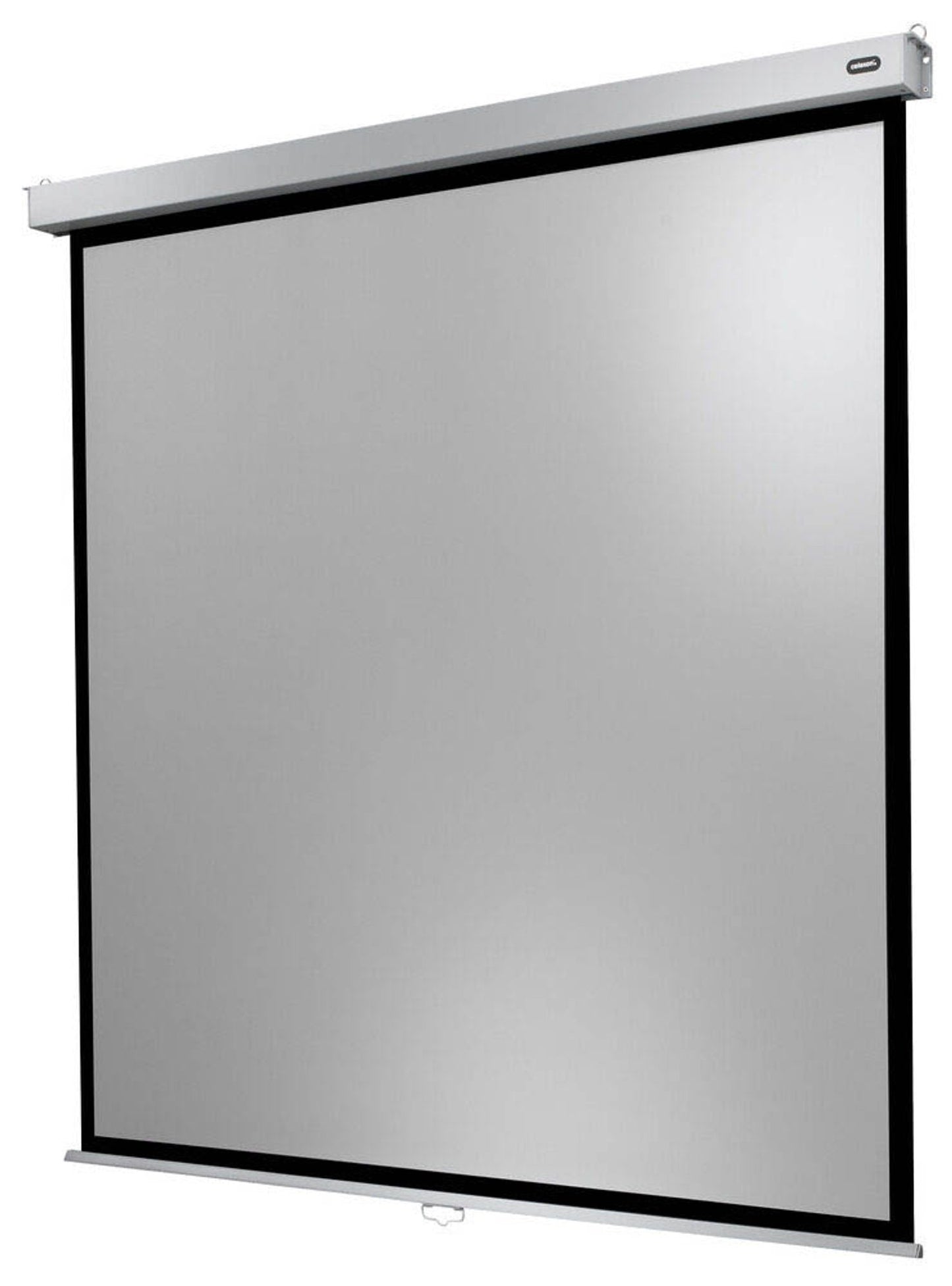 celexon Rolloleinwand Professional Plus 1:1,