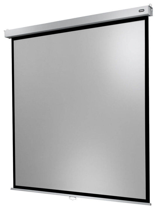 celexon Rolloleinwand Professional Plus 1:1,