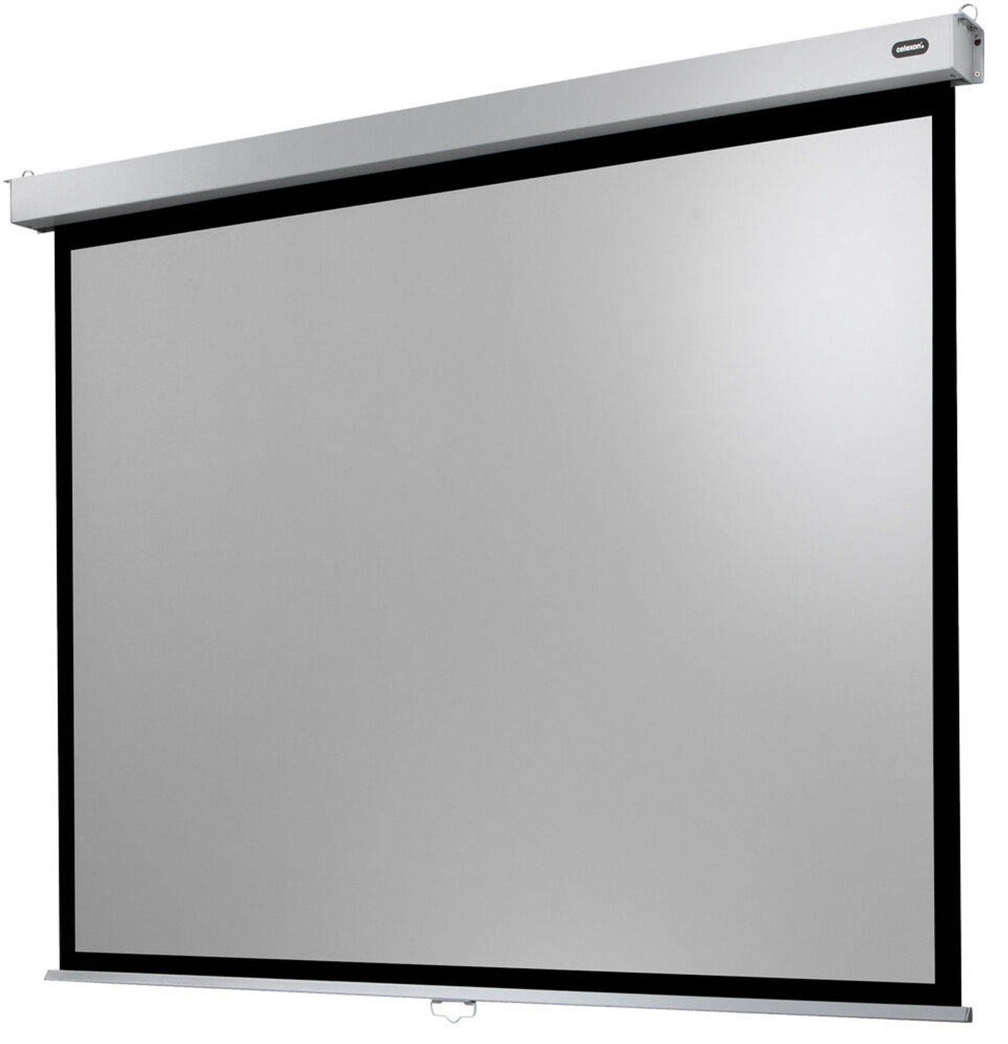 celexon Rolloleinwand Professional Plus 4:3,