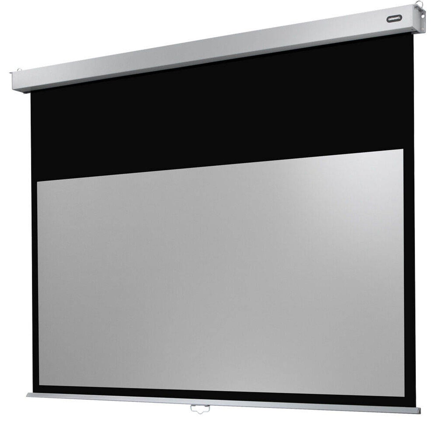 celexon Rolloleinwand Professional Plus