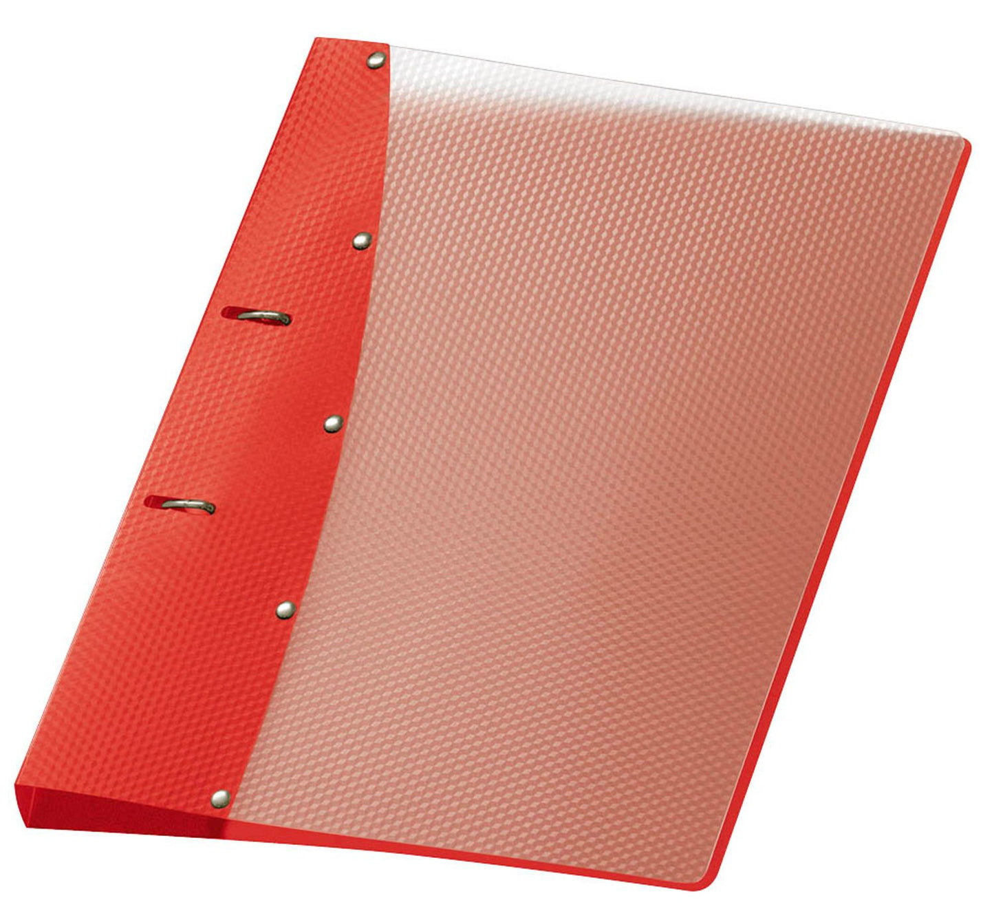 12 VELOFLEX Diamond Präsentationsringbücher 2-Ringe 2,9 cm DIN A4,