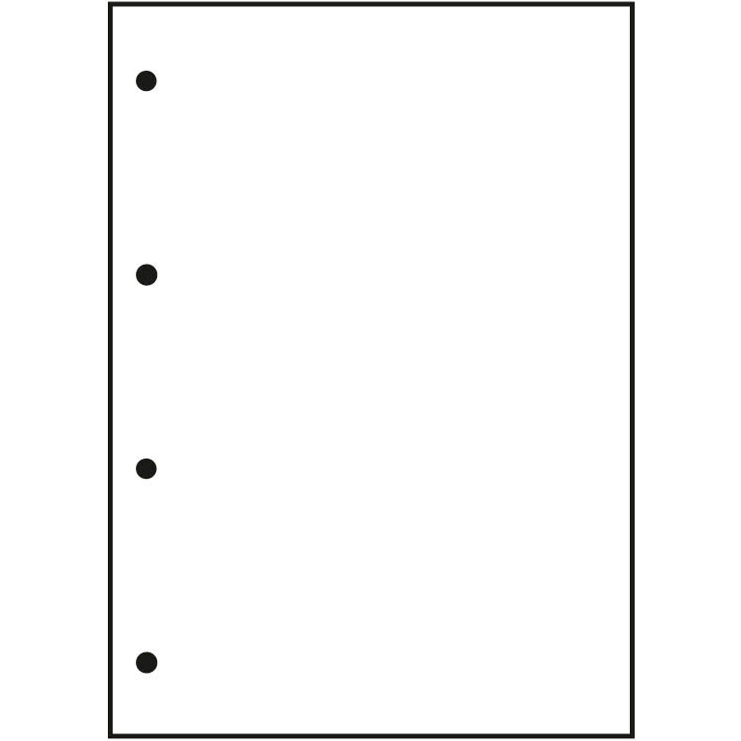OXFORD Briefblock Schule gelocht DIN A4 blanko Lineatur 20 | 100050354
