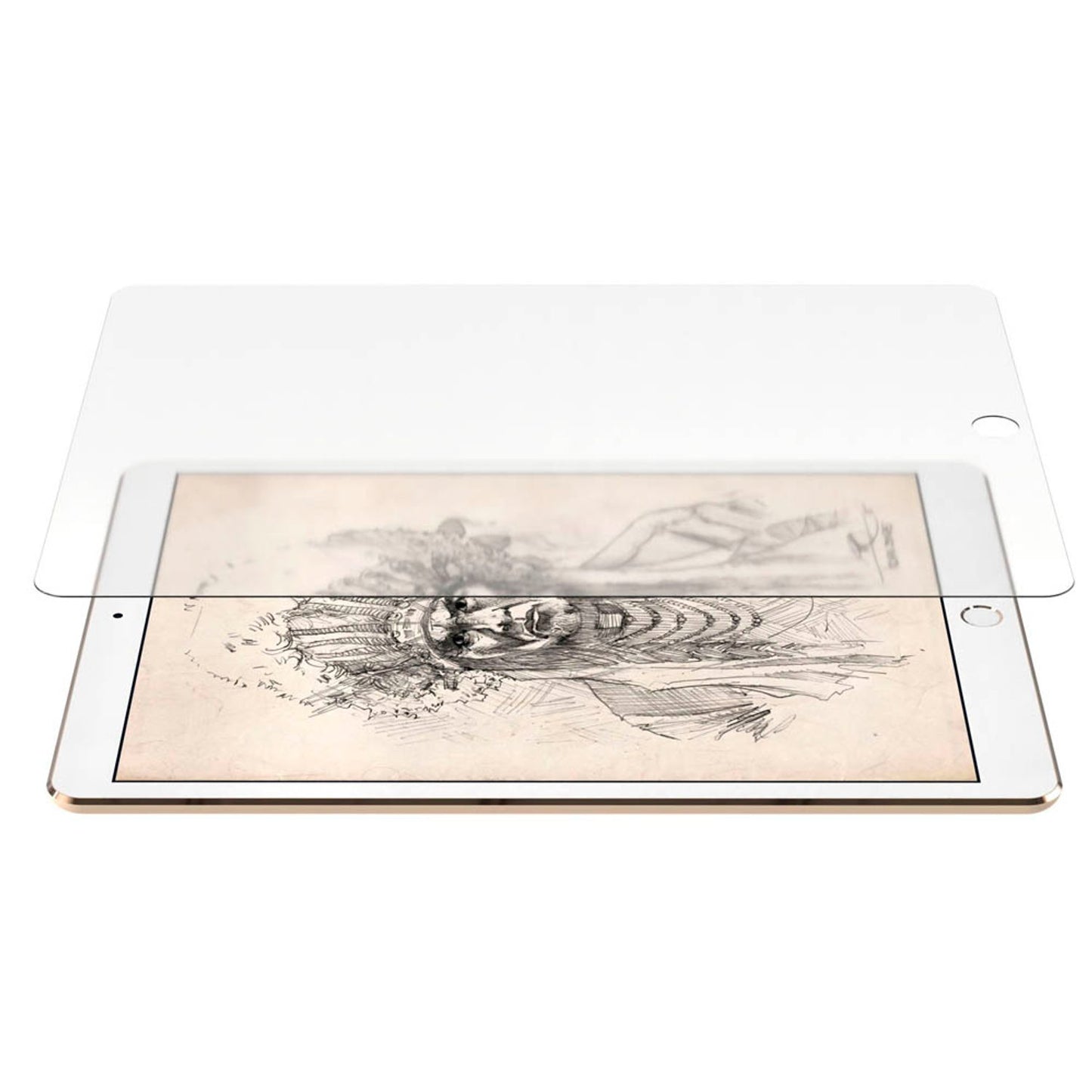 NEXT ONE Display-Blickschutzfolie für Apple iPad 7. Gen (2019) | IPD-10.2-PPR