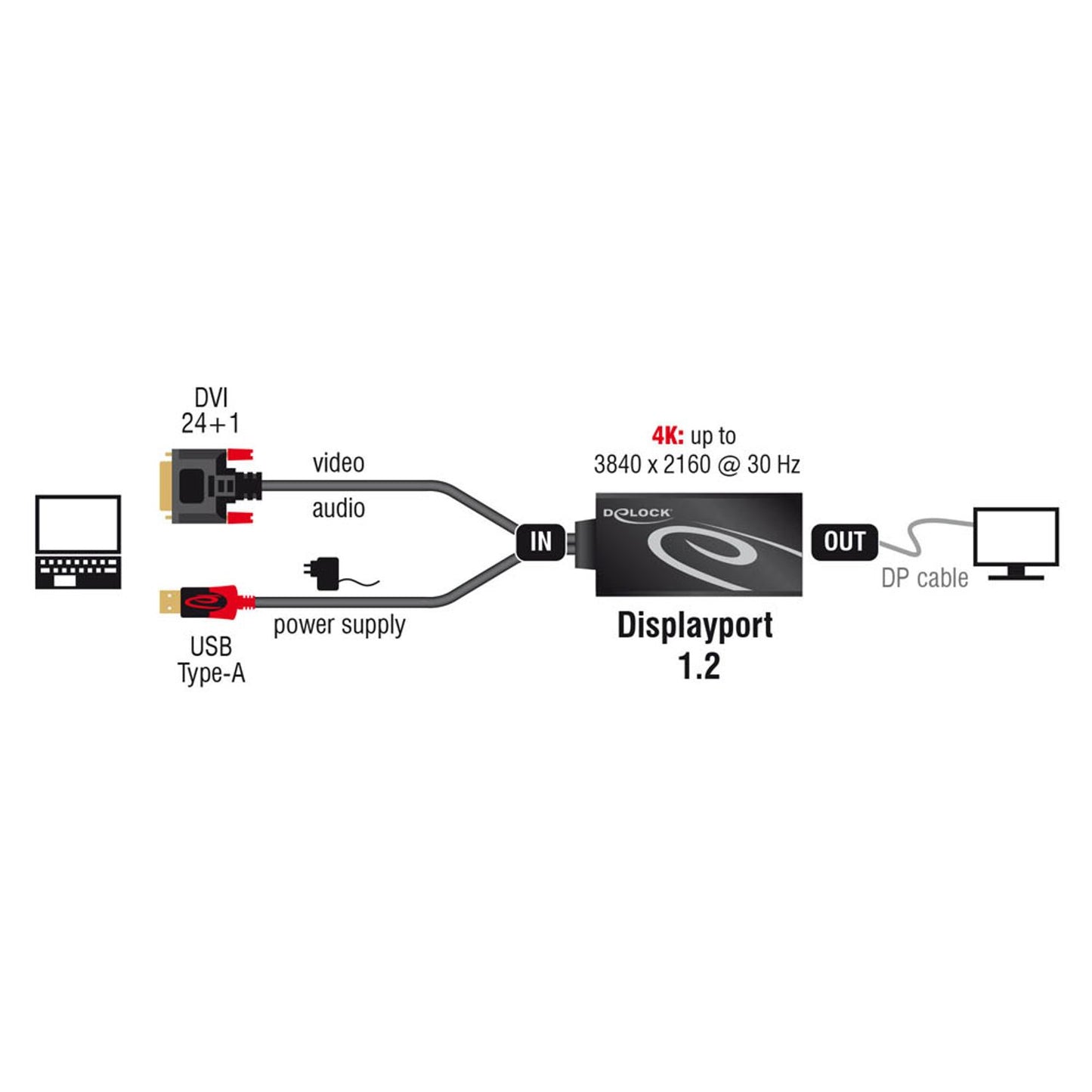 DeLOCK DVI/DisplayPort Adapter | 62596