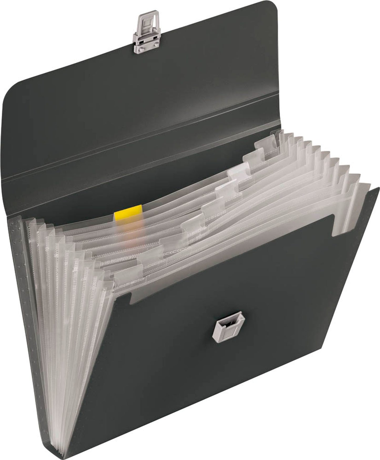 BRUNNEN Sammelmappe FACT!pp DIN A4,